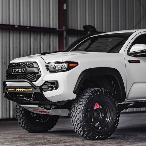 Meet your Posher, Hayden - Picture 1 of 1